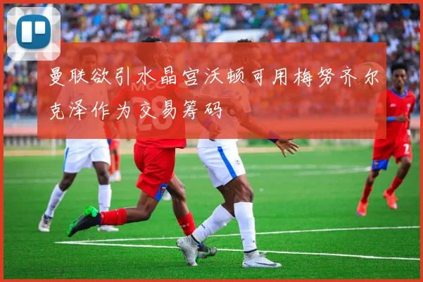 曼联欲引水晶宫沃顿可用梅努齐尔克泽作为交易筹码